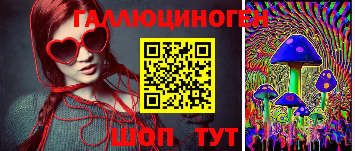 Борзя  Галлюциногенные грибы Psilocybine cubensis  Вход с VPN  Галлюциногенные грибы Psilocybe 